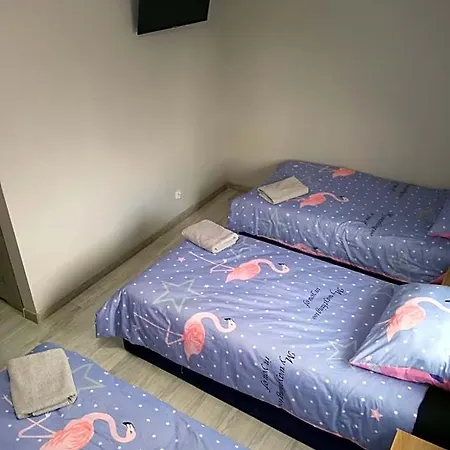 Szafir - Noclegigrodziskpl Bed & Breakfast Grodzisk Mazowiecki